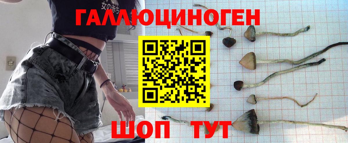 Псилоцибиновые грибы GOLDEN TEACHER  Вход с VPN  наркотики  Кострома 